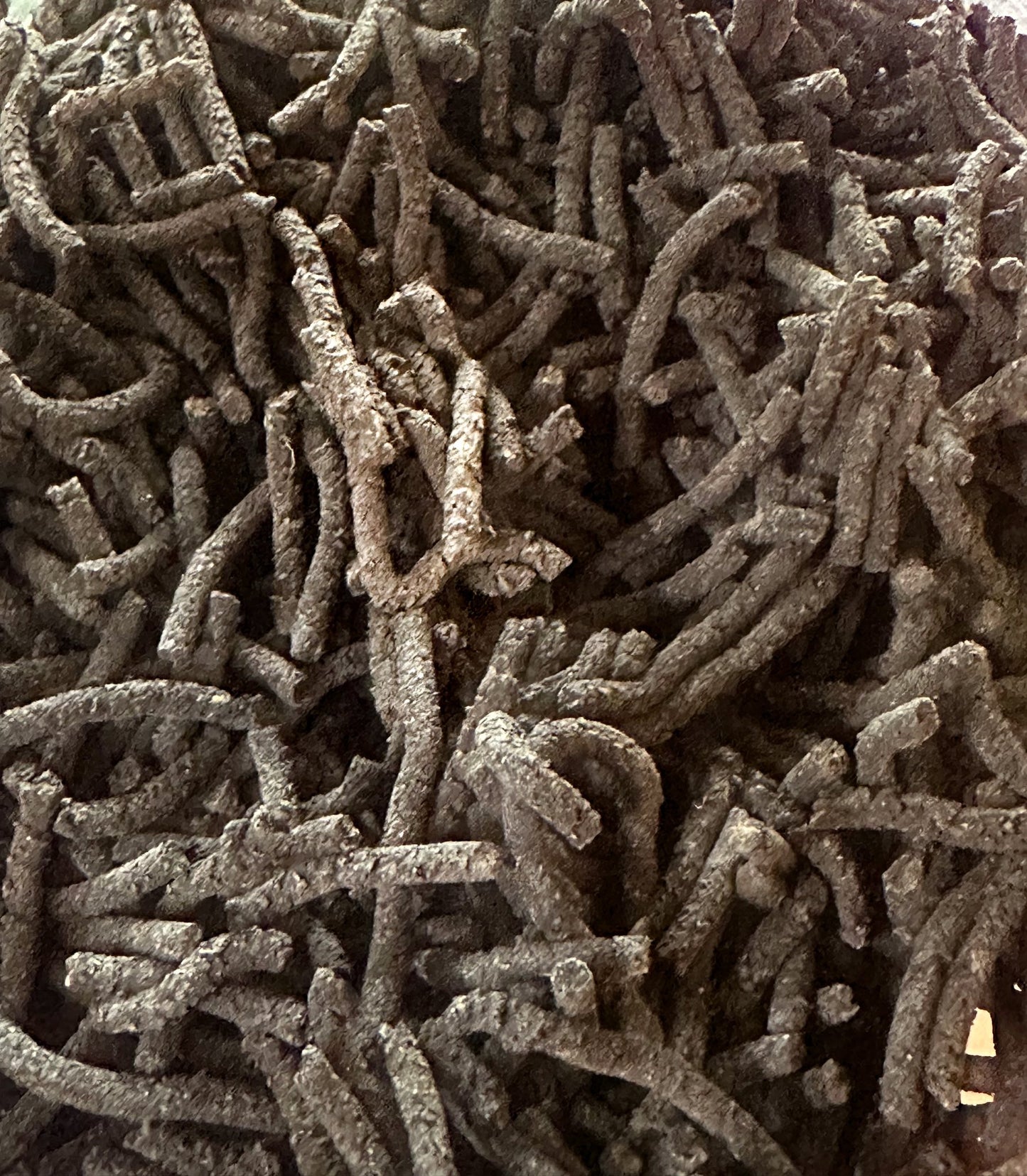 Astaxanthin Shrimp Feed - KW Shrimps (50g)
